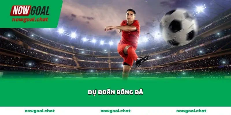 du doan bong da